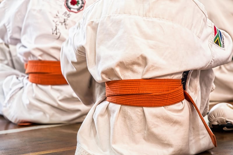 Chen Style Martial Arts